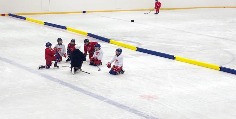 Hockeysarg